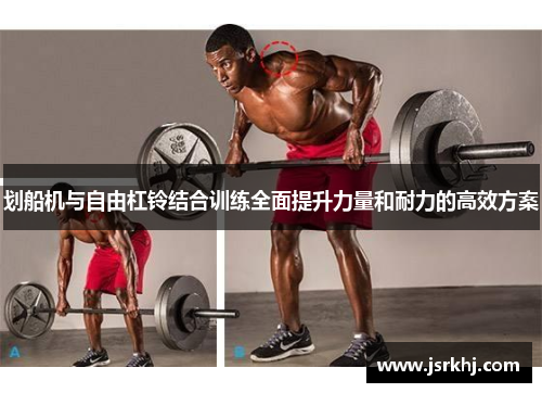 划船机与自由杠铃结合训练全面提升力量和耐力的高效方案