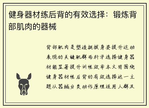 健身器材练后背的有效选择：锻炼背部肌肉的器械