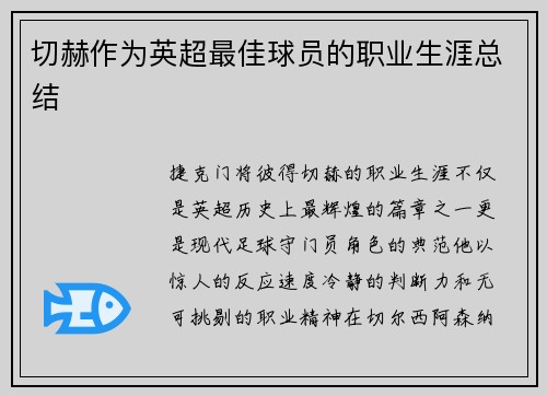 切赫作为英超最佳球员的职业生涯总结