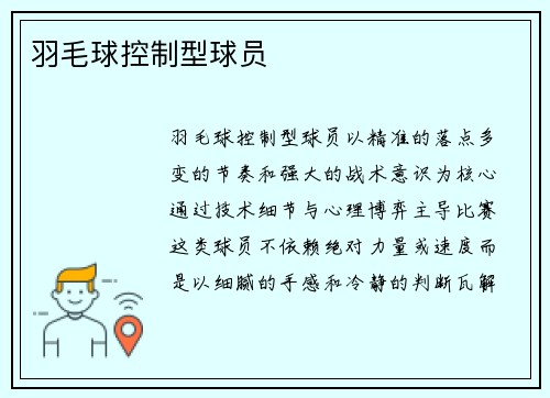羽毛球控制型球员